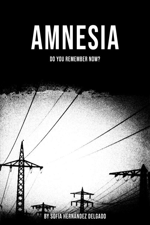 Assistir Amnesia