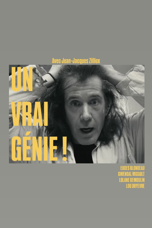 Assistir Un vrai génie !