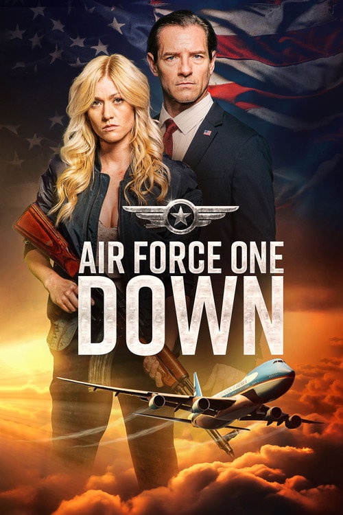 Assistir Air Force One Down