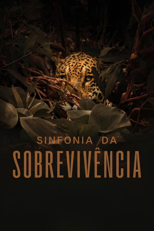 Assistir Sinfonia da Sobrevivência