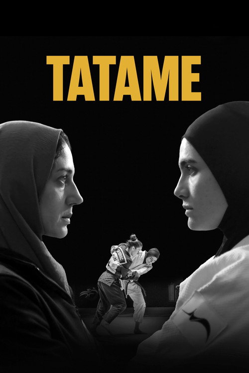 Assistir Tatame