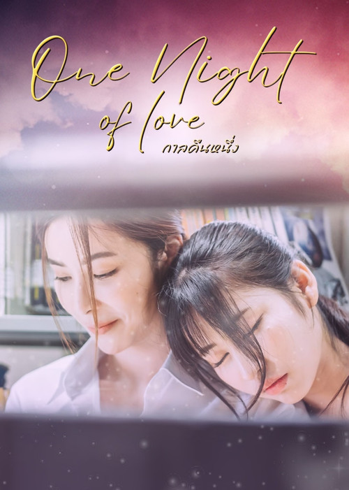 Assistir Uma Noite de Amor