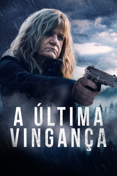 Assistir A Última Vingança