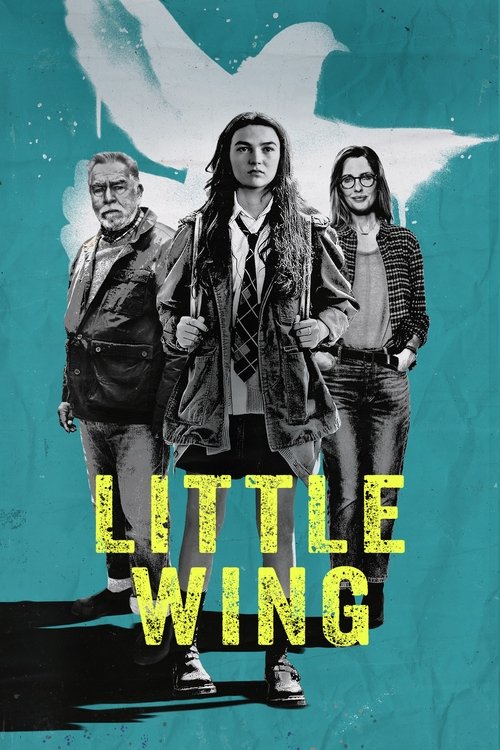 Assistir Little Wing