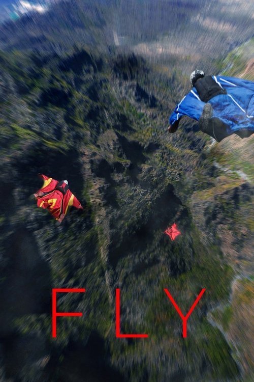 Assistir Fly