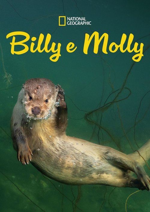 Assistir Billy e Molly: Uma História de Amor Diferente