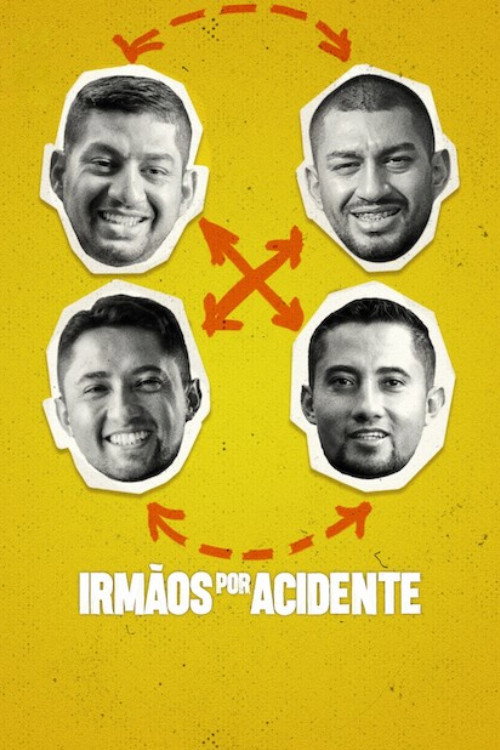 Assistir Irmãos por Acidente