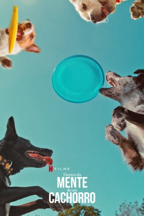 Assistir Dentro da Mente de um Cachorro