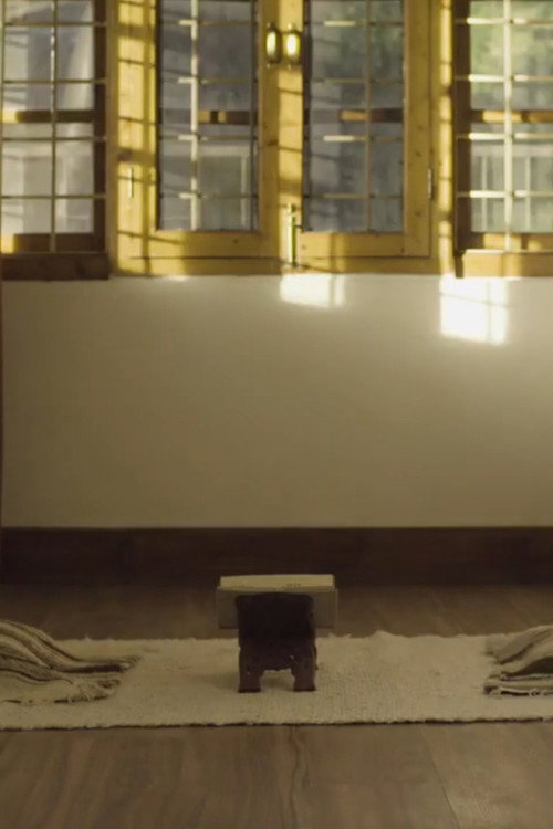 Assistir The Lesson