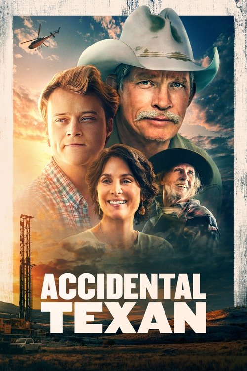 Assistir Texano Por Acidente