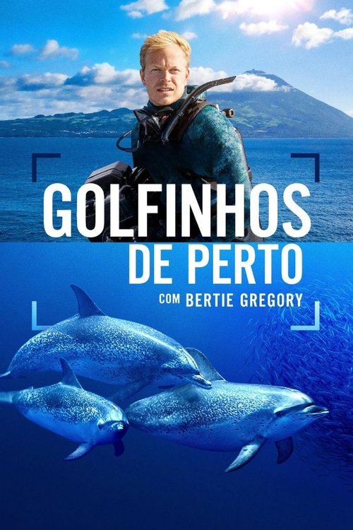 Assistir Golfinhos de Perto com Bertie Gregory