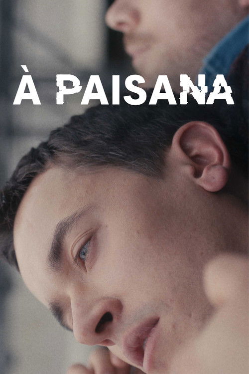 Assistir À Paisana