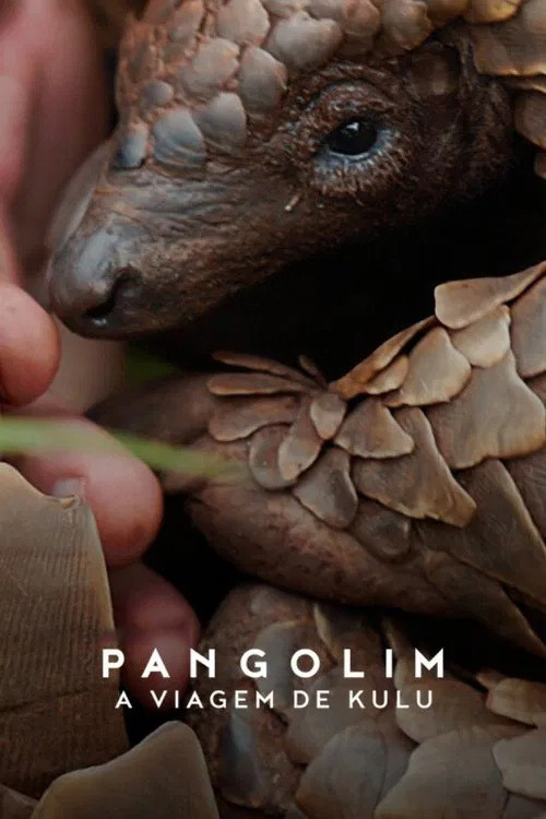 Assistir Pangolim: A Viagem de Kulu