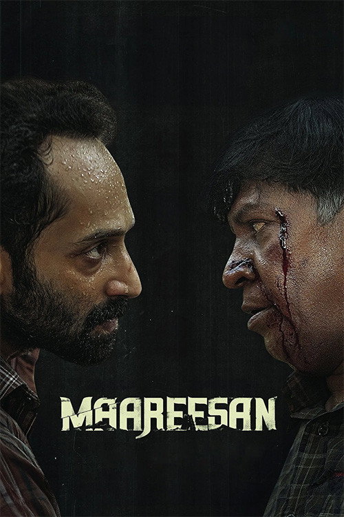 Assistir Perdidos pelo Caminho