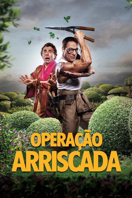 Assistir Operação Arriscada