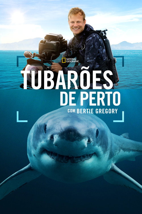 Assistir Tubarões de Perto com Bertie Gregory