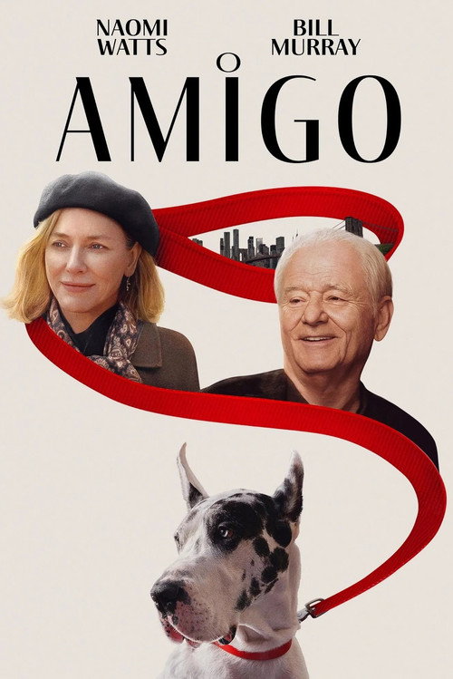 Assistir O Amigo