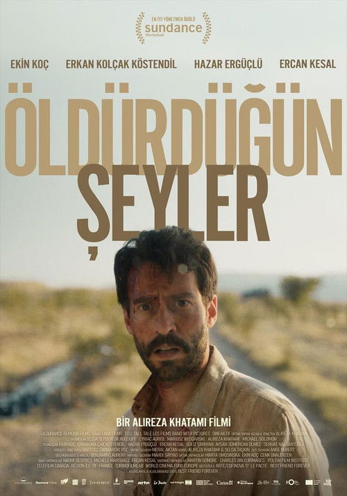 Assistir Öldürdüğün Şeyler