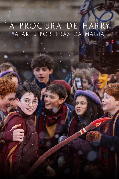 Assistir À Procura de Harry: A Arte por Trás da Magia