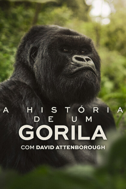 Assistir A História de Um Gorila com David Attenborough