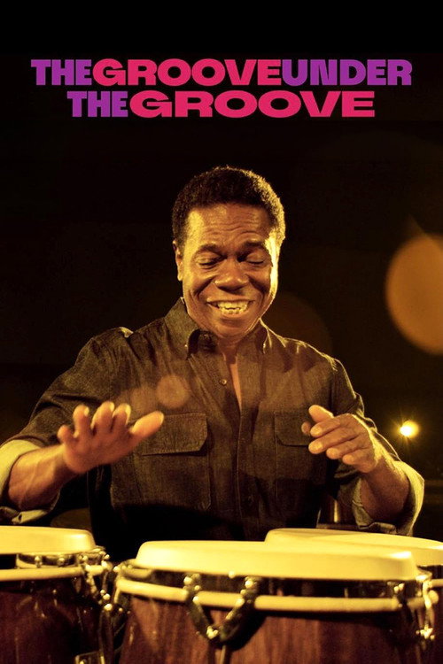 Assistir The Groove Under the Groove: Os Sons de Paulinho da Costa