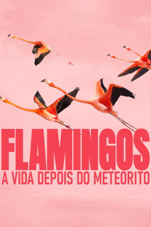 Assistir Flamingos: A Vida Depois do Meteorito