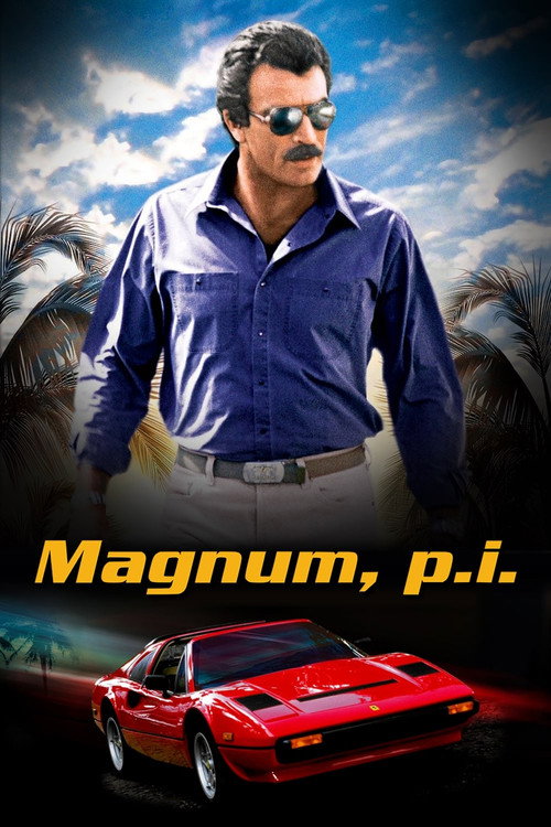 Assistir Magnum