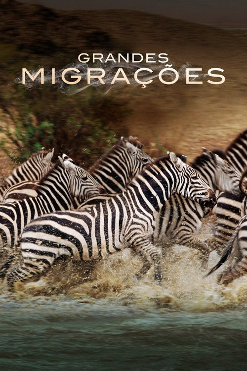 Assistir Grandes Migrações