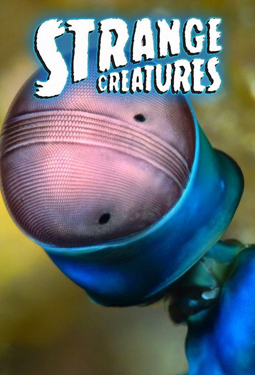 Assistir Criaturas Estranhas