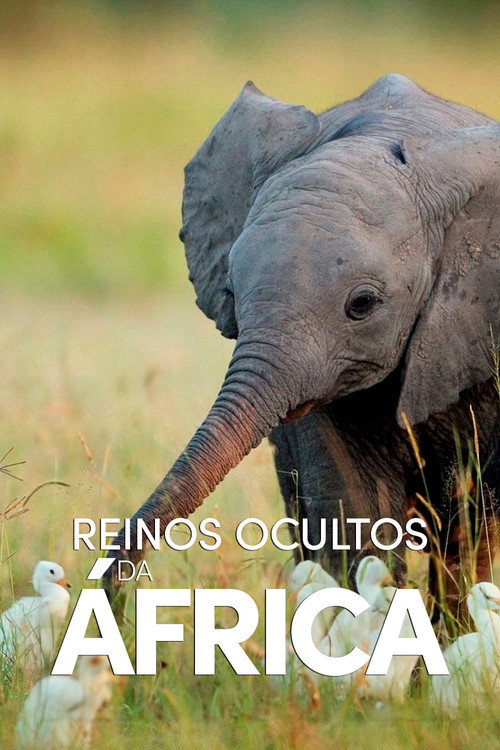 Assistir Reinos Ocultos da África
