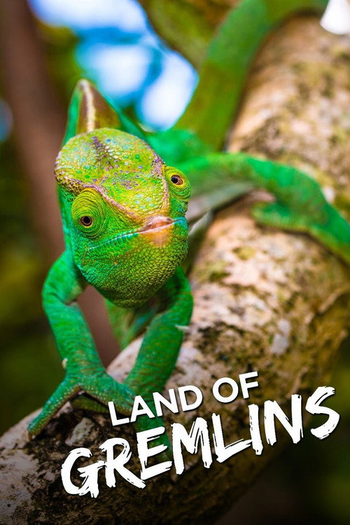 Assistir A Incrível Madagascar