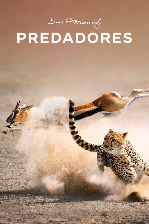 Assistir Predadores