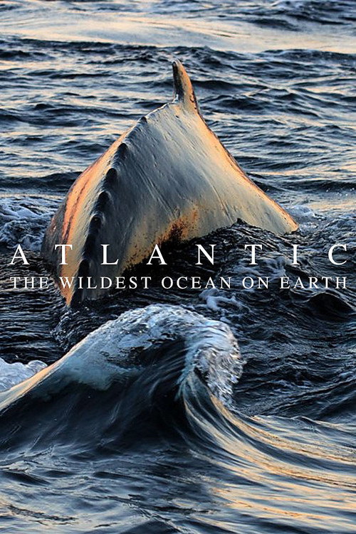 Assistir Atlantic: The Wildest Ocean on Earth