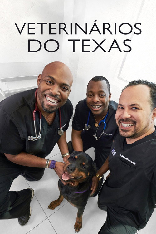 Assistir Veterinários do Texas