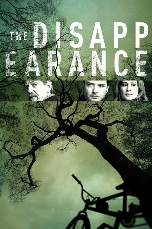 Assistir The Disappearance