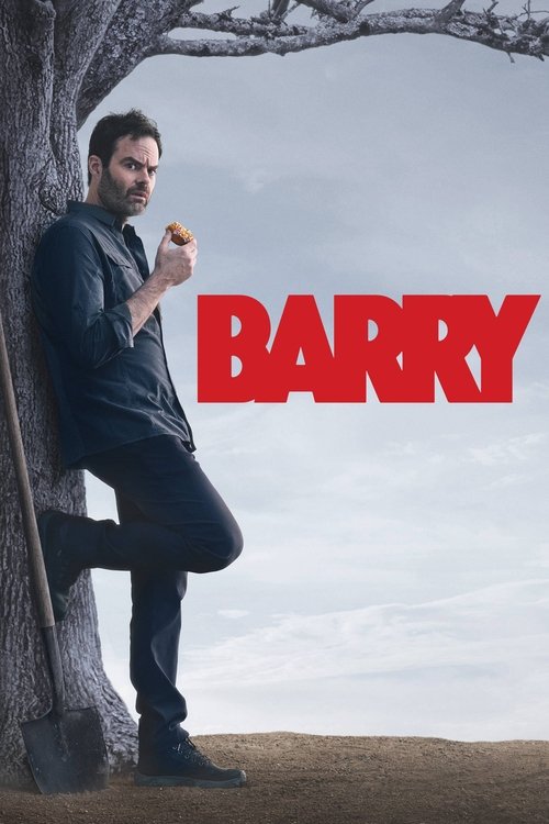 Assistir Barry