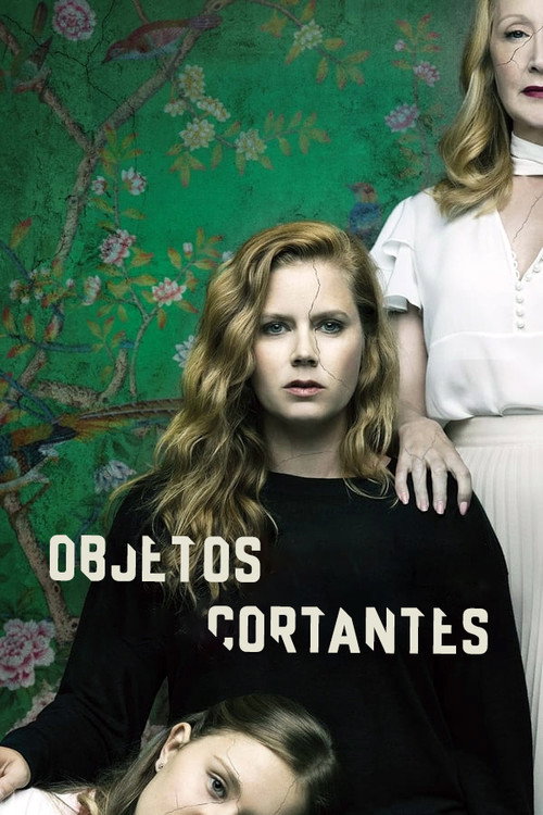 Assistir Objetos Cortantes