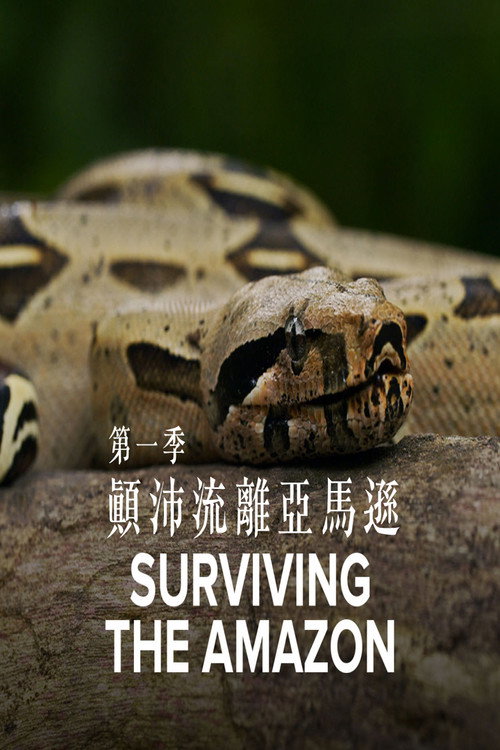 Assistir Sobrevivendo a Amazônia
