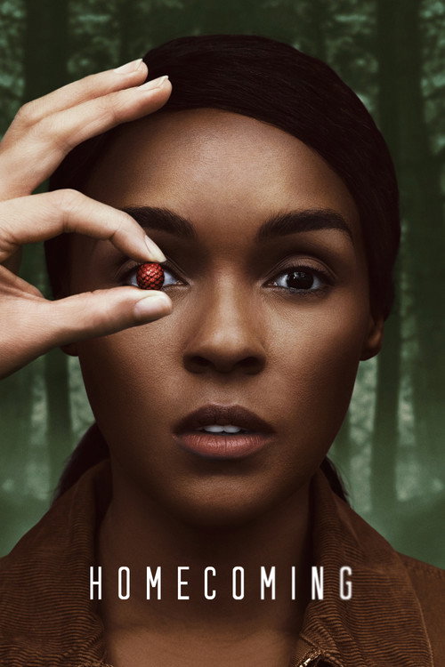 Assistir Homecoming: De Volta à Pátria