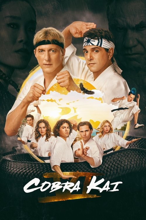 Assistir Cobra Kai