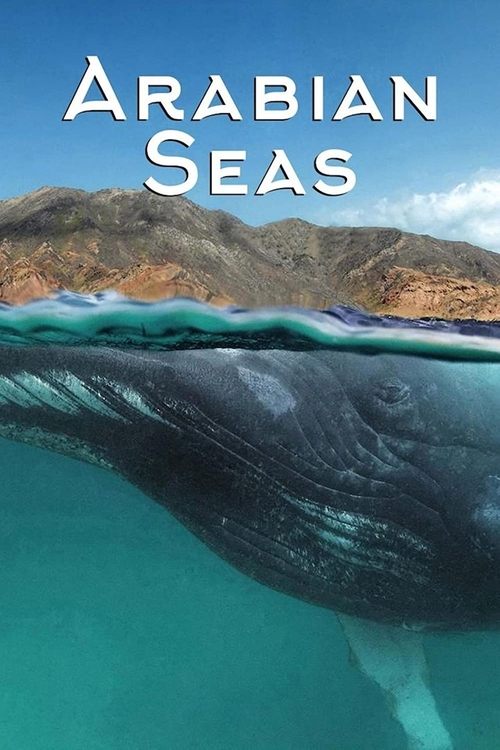 Assistir Os Mares da Arábia