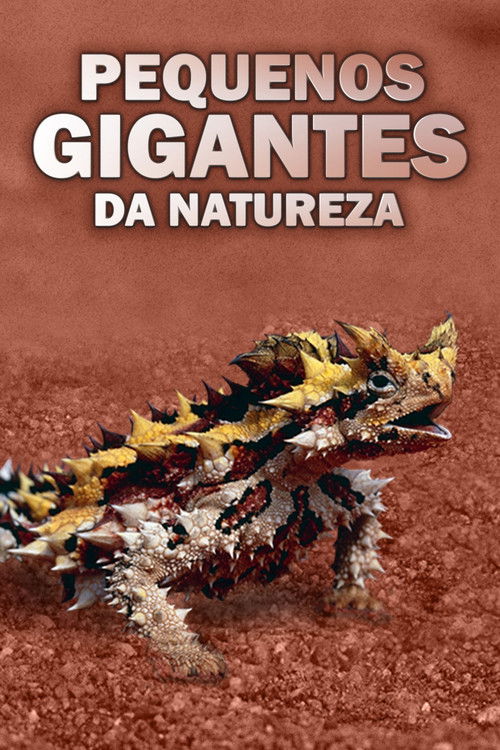 Assistir Pequenos Gigantes da Natureza