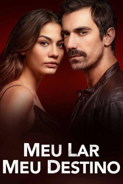 Assistir Meu Lar, Meu Destino