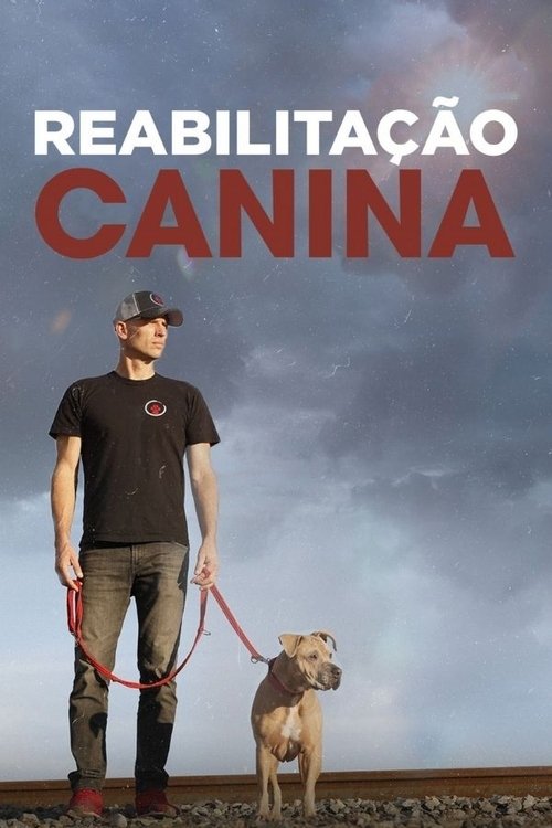 Assistir Reabilitação Canina