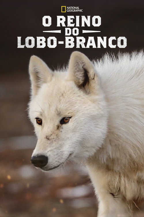 Assistir O Reino do Lobo-Branco