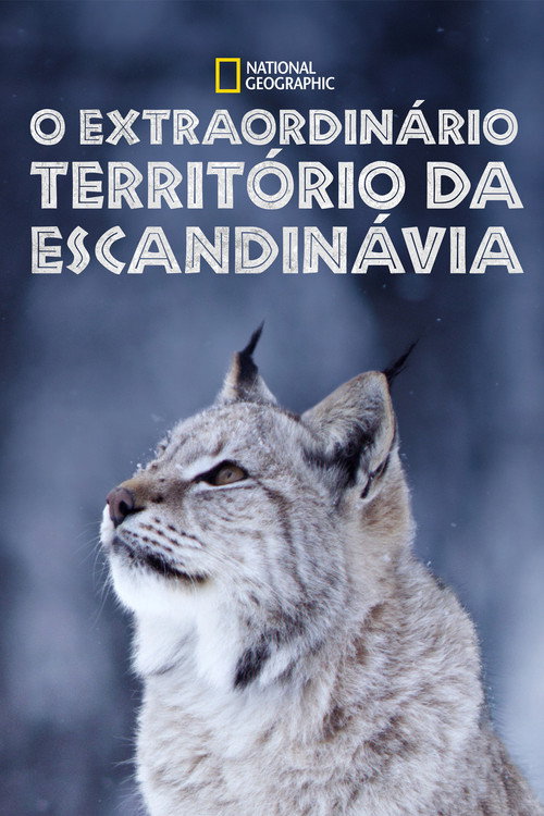 Assistir O Extraordinário Território da Escandinávia
