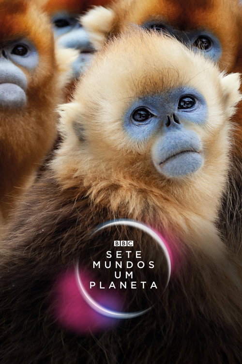 Assistir Sete Mundos, um Planeta
