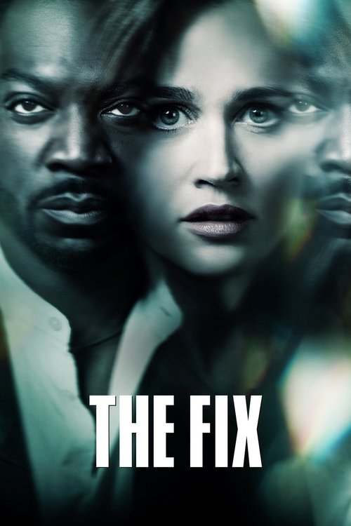 Assistir The Fix