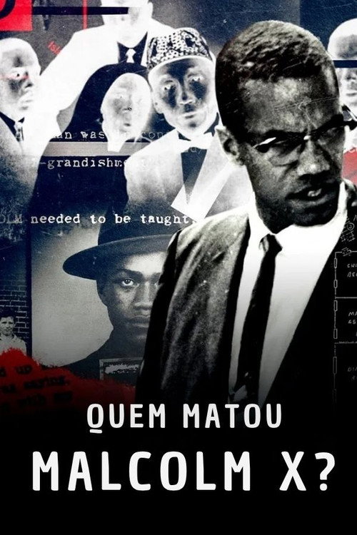 Assistir Quem Matou Malcolm X?
