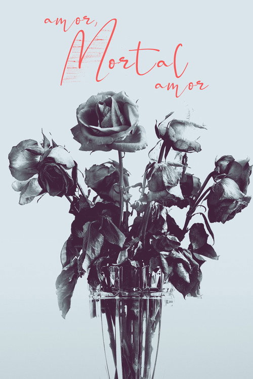 Assistir Amor, Mortal Amor